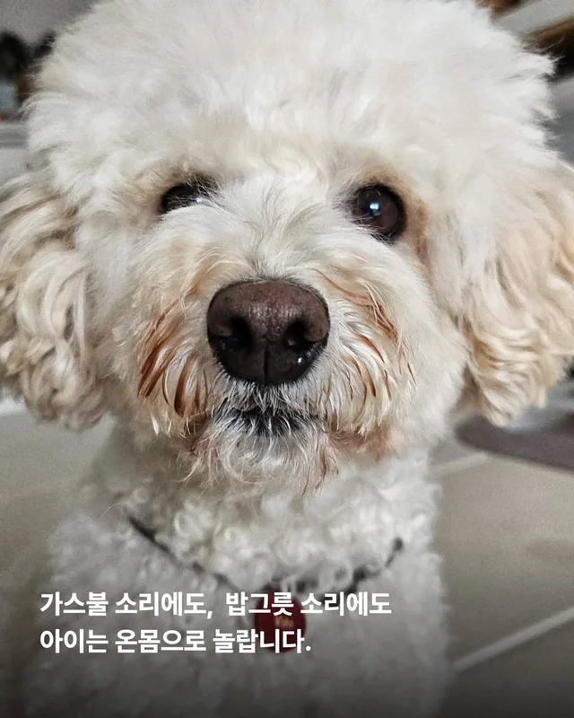 작은소리도 너무 크게들리는 아이 #위액트비타 현장 사진