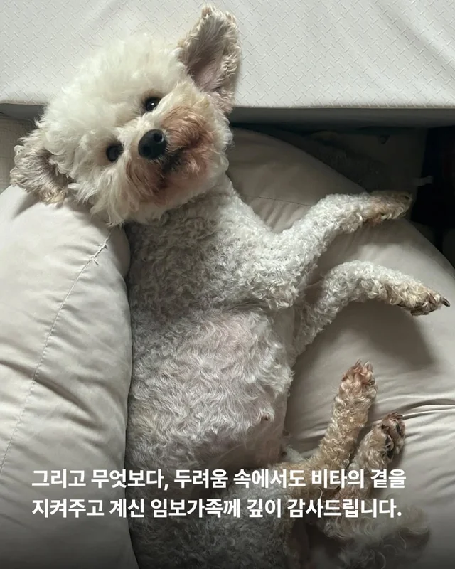 작은소리도 너무 크게들리는 아이 #위액트비타 현장 사진