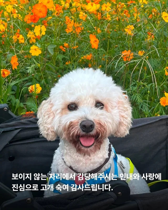 작은소리도 너무 크게들리는 아이 #위액트비타 현장 사진