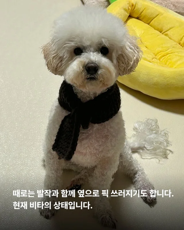 작은소리도 너무 크게들리는 아이 #위액트비타 현장 사진