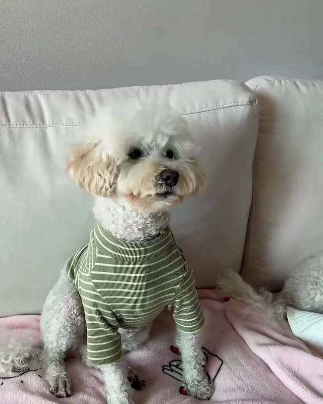 작은소리도 너무 크게들리는 아이 #위액트비타 현장 사진