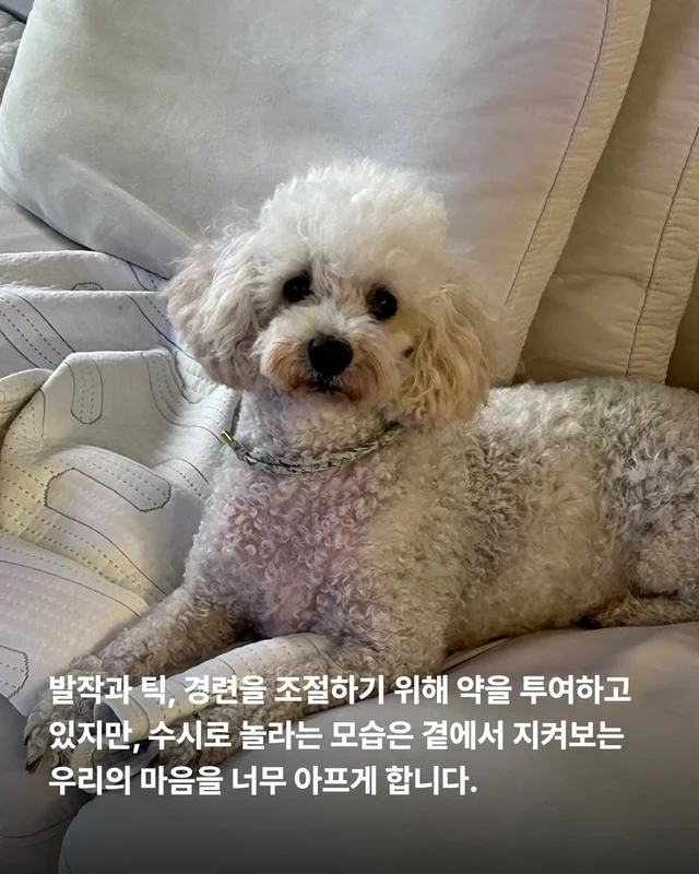 작은소리도 너무 크게들리는 아이 #위액트비타 현장 사진