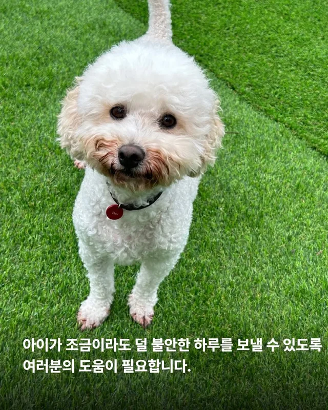 작은소리도 너무 크게들리는 아이 #위액트비타 현장 사진