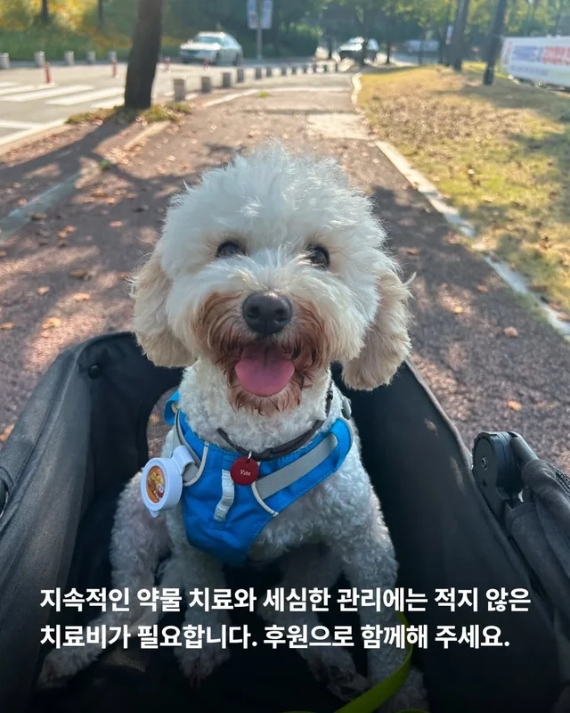 작은소리도 너무 크게들리는 아이 #위액트비타 현장 사진