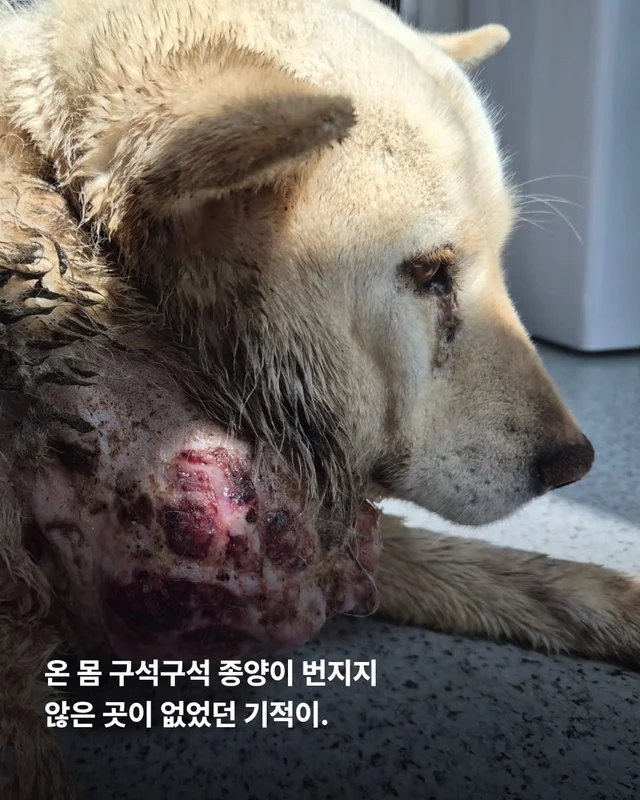 기적이가 깨어났습니다. 현장 사진