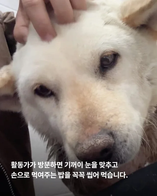 기적이가 깨어났습니다. 현장 사진