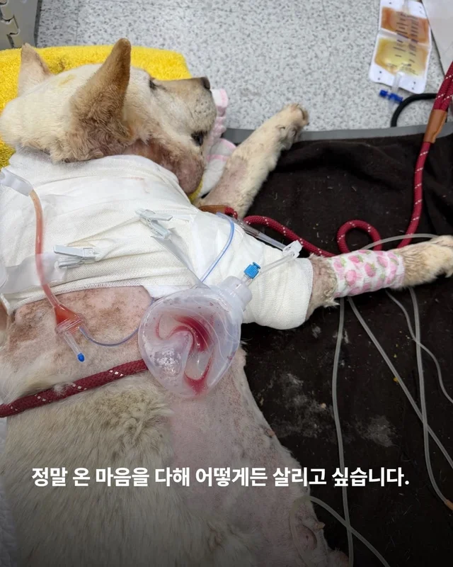 기적이가 깨어났습니다. 현장 사진