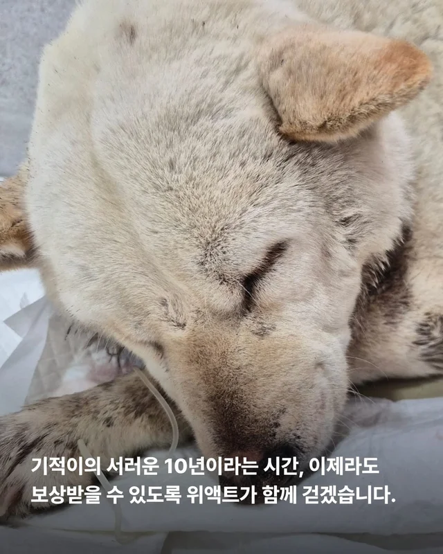 기적이가 깨어났습니다. 현장 사진