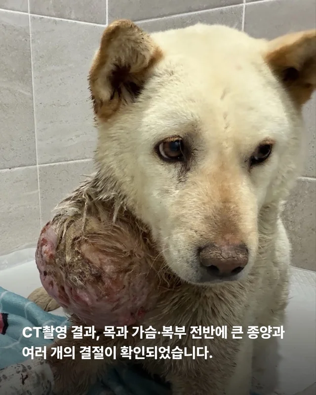 기적이가 깨어났습니다. 현장 사진