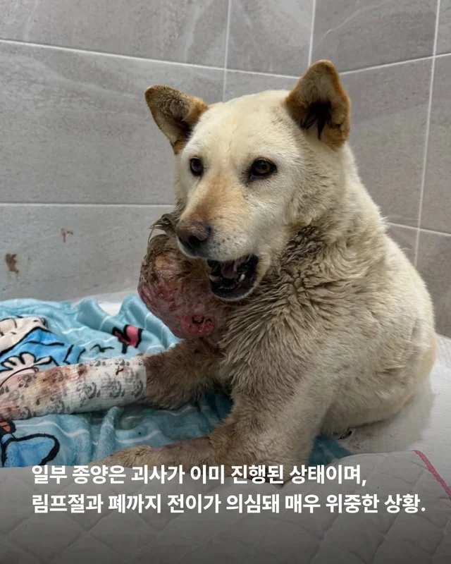 기적이가 깨어났습니다. 현장 사진
