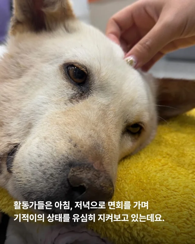 기적이가 깨어났습니다. 현장 사진