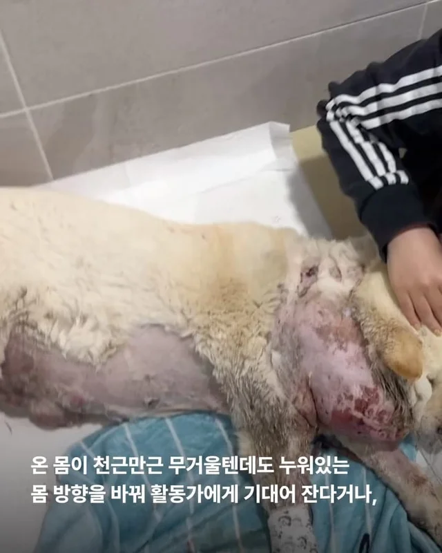 기적이가 깨어났습니다. 현장 사진