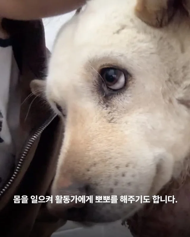 기적이가 깨어났습니다. 현장 사진