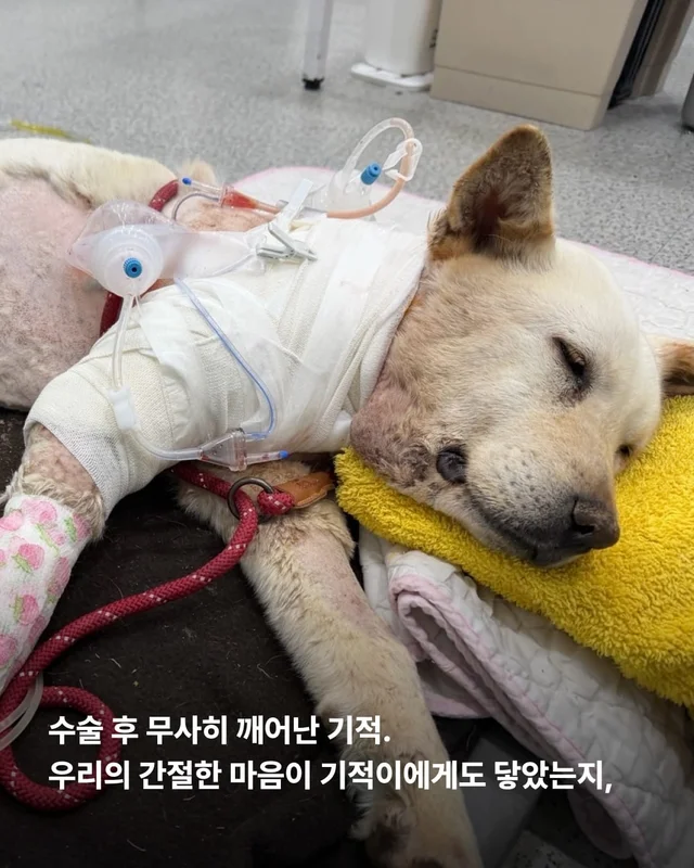 기적이가 깨어났습니다. 현장 사진