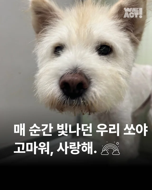 매 순간 빛났던 우리 쏘야 고마워 사랑해 현장 사진
