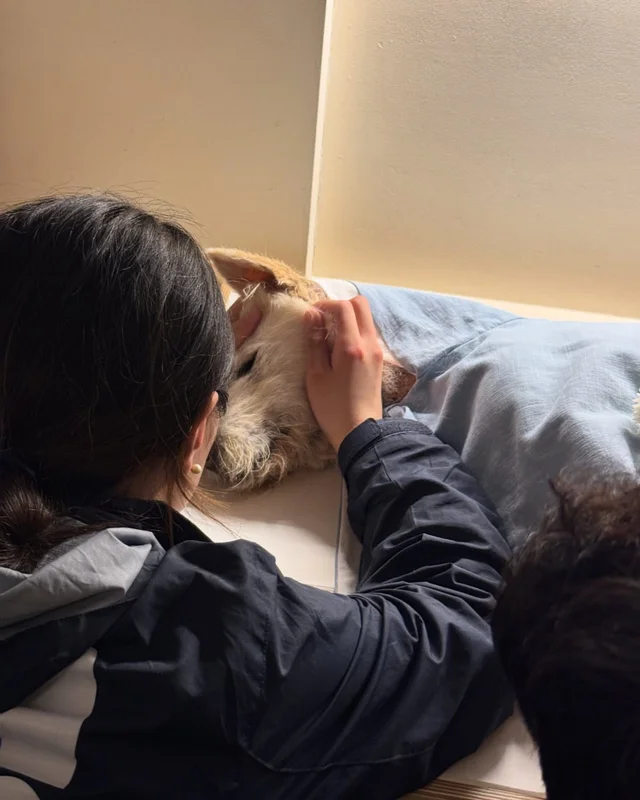 매 순간 빛났던 우리 쏘야 고마워 사랑해 현장 사진