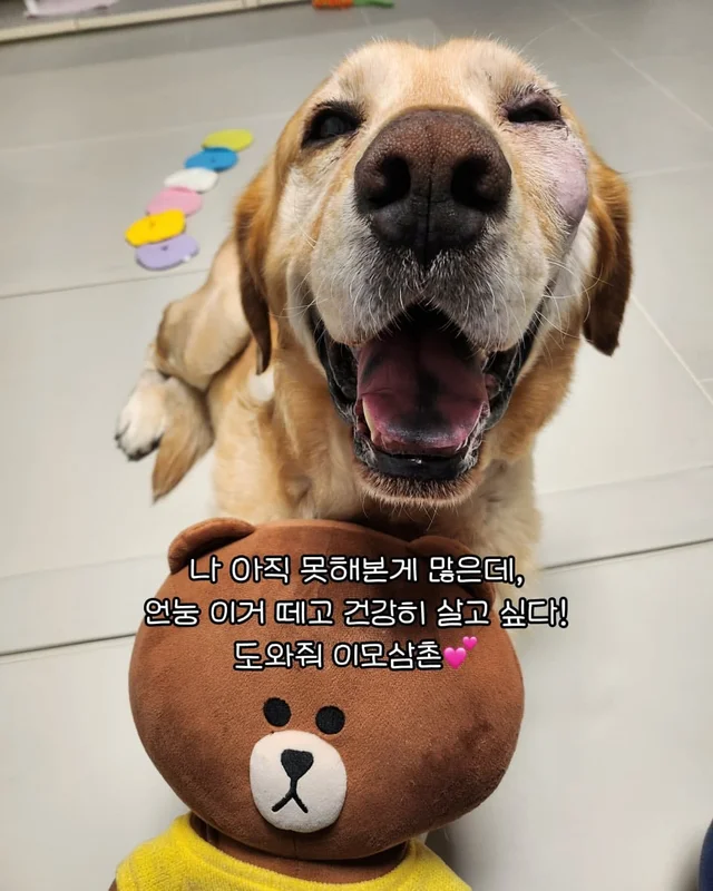 임시보호가 만든 표정 ! 집, 짱 좋다 ! 현장 사진