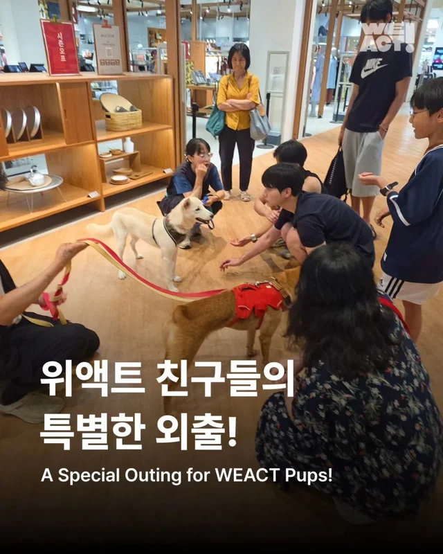 위액트제트, 위액트카미, 위액트밀키 현장 사진