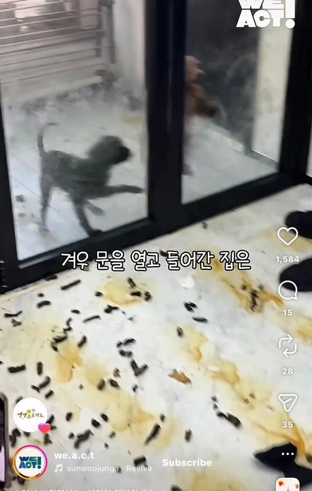 소원이 이뤄졌어요 영원히 행복할게요 현장 사진