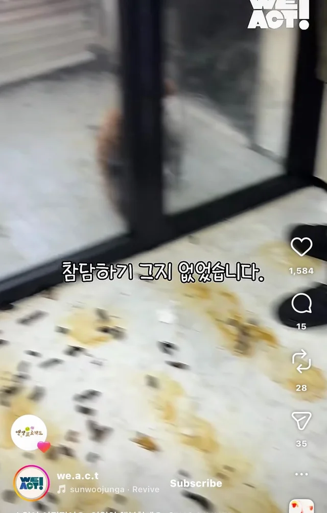 소원이 이뤄졌어요 영원히 행복할게요 현장 사진