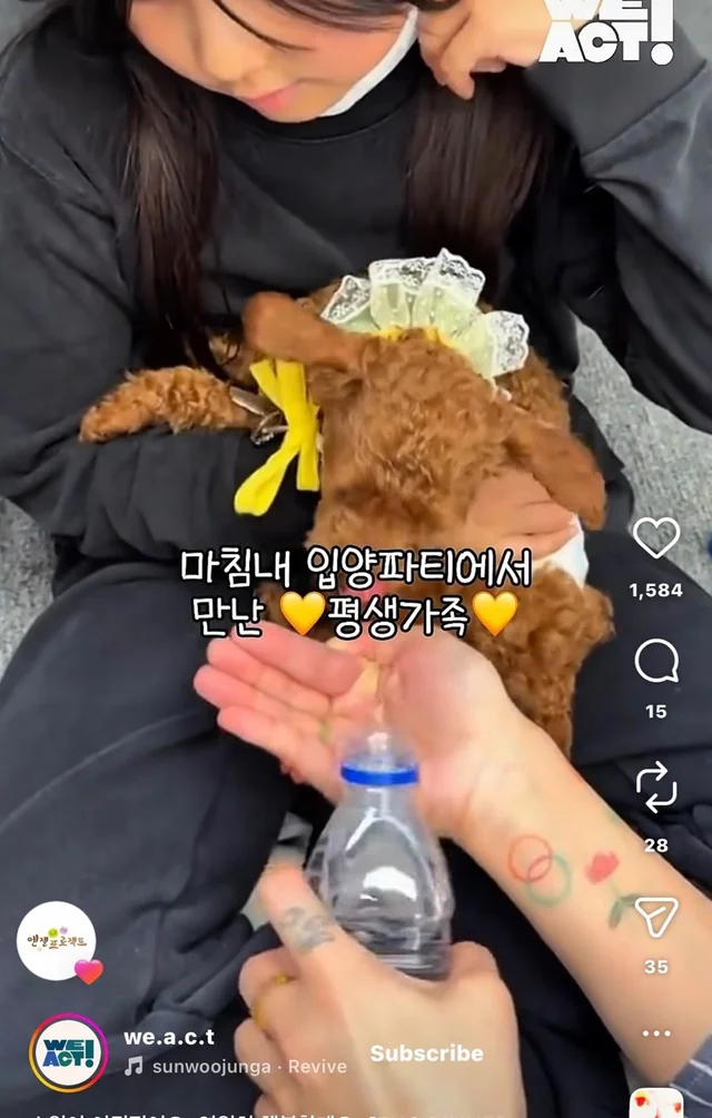 소원이 이뤄졌어요 영원히 행복할게요 현장 사진