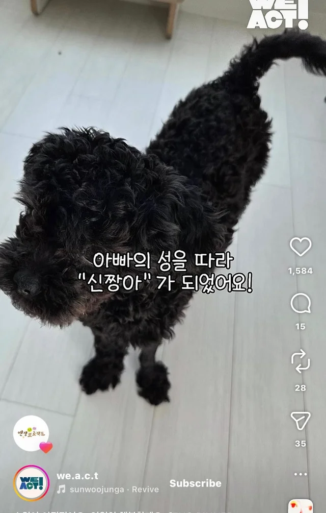 소원이 이뤄졌어요 영원히 행복할게요 현장 사진