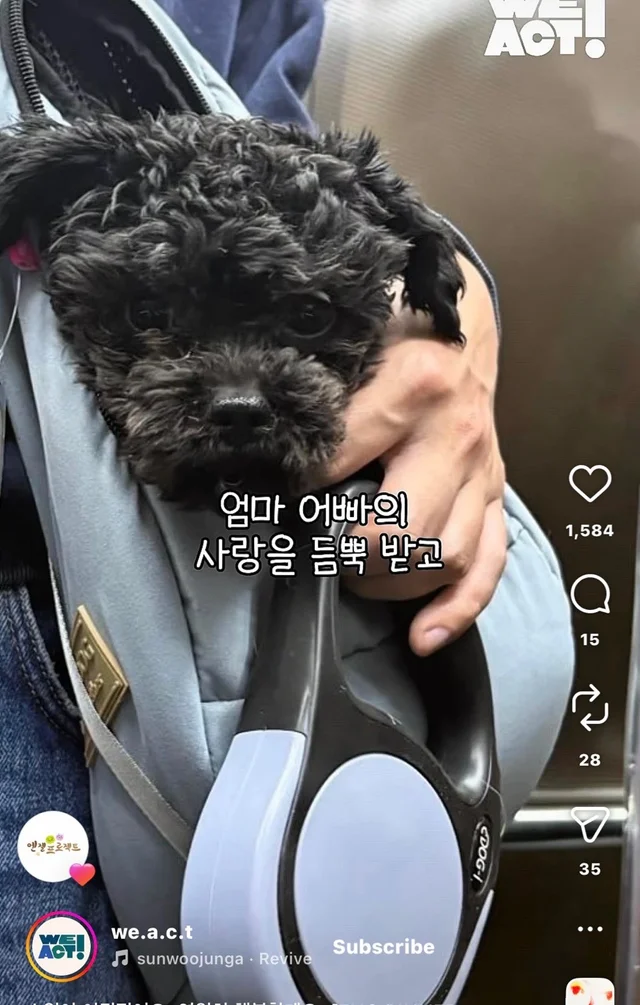 소원이 이뤄졌어요 영원히 행복할게요 현장 사진