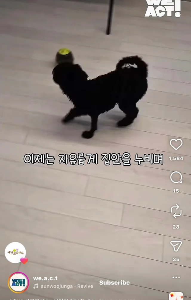 소원이 이뤄졌어요 영원히 행복할게요 현장 사진