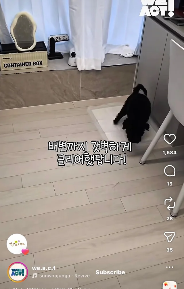 소원이 이뤄졌어요 영원히 행복할게요 현장 사진