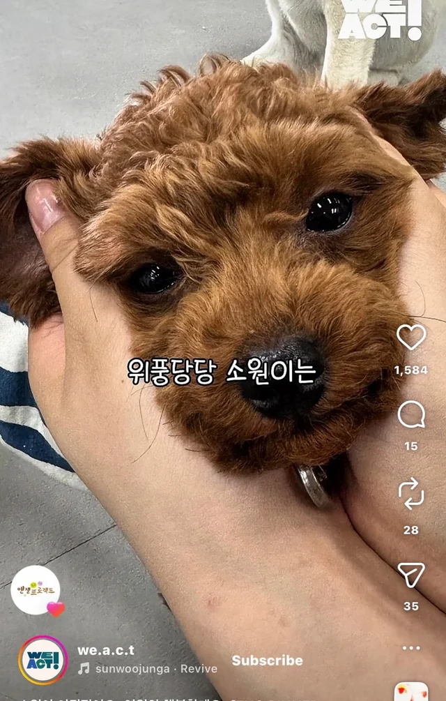 소원이 이뤄졌어요 영원히 행복할게요 현장 사진