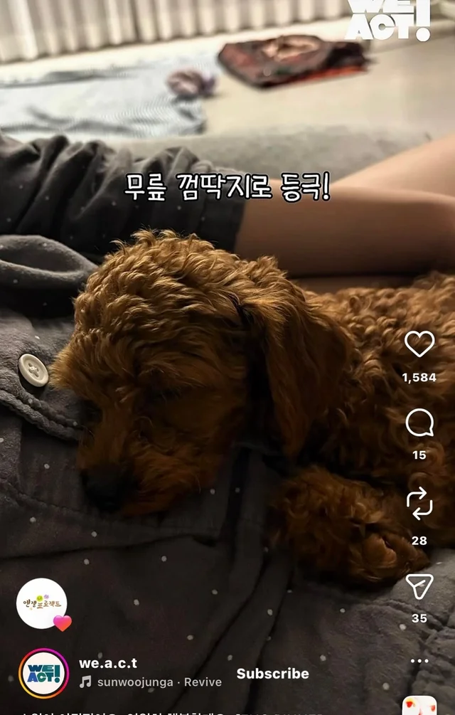 소원이 이뤄졌어요 영원히 행복할게요 현장 사진