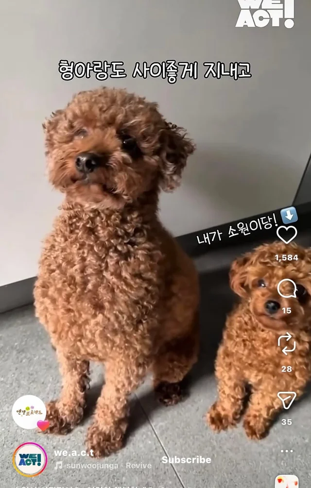 소원이 이뤄졌어요 영원히 행복할게요 현장 사진