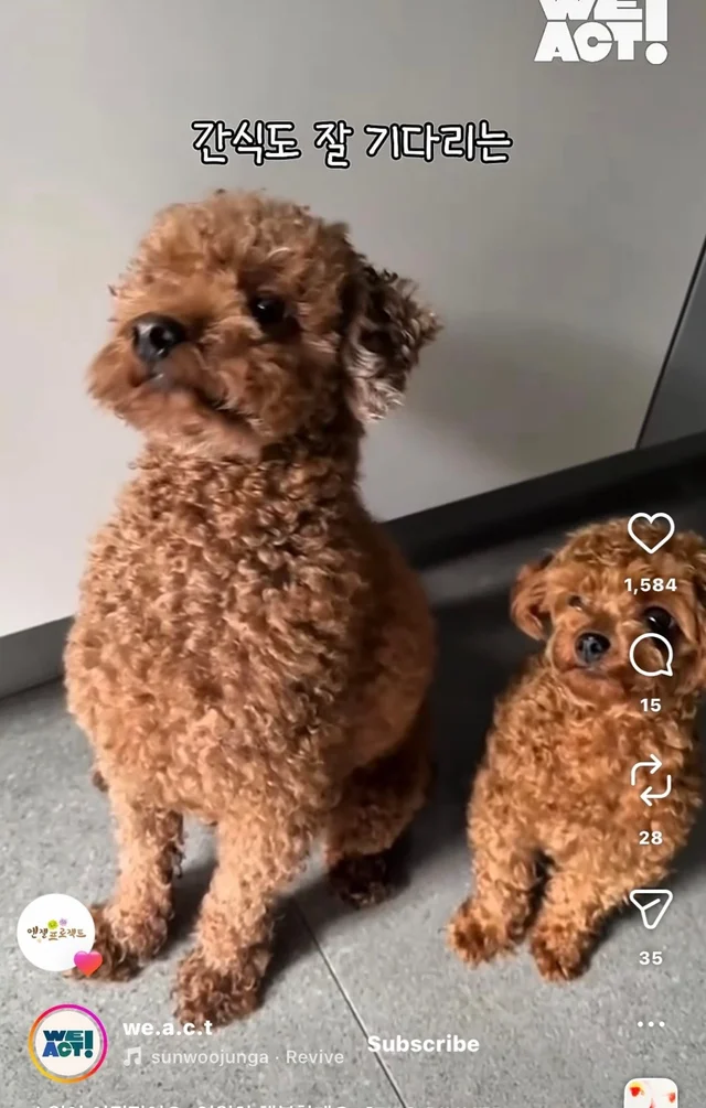 소원이 이뤄졌어요 영원히 행복할게요 현장 사진