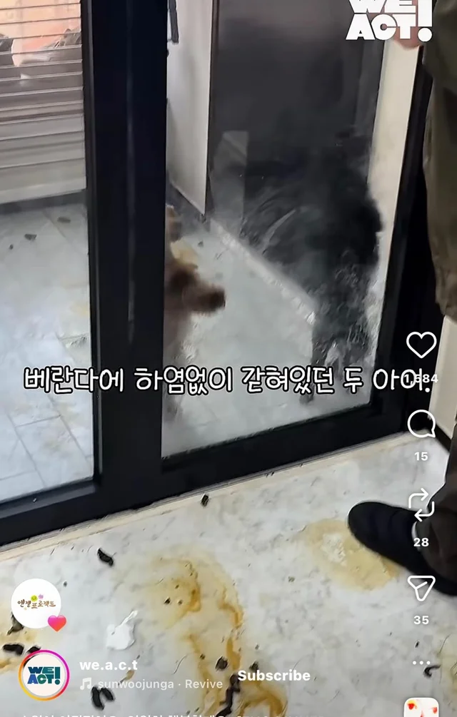 소원이 이뤄졌어요 영원히 행복할게요 현장 사진
