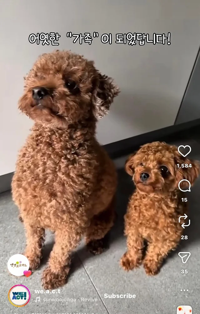 소원이 이뤄졌어요 영원히 행복할게요 현장 사진