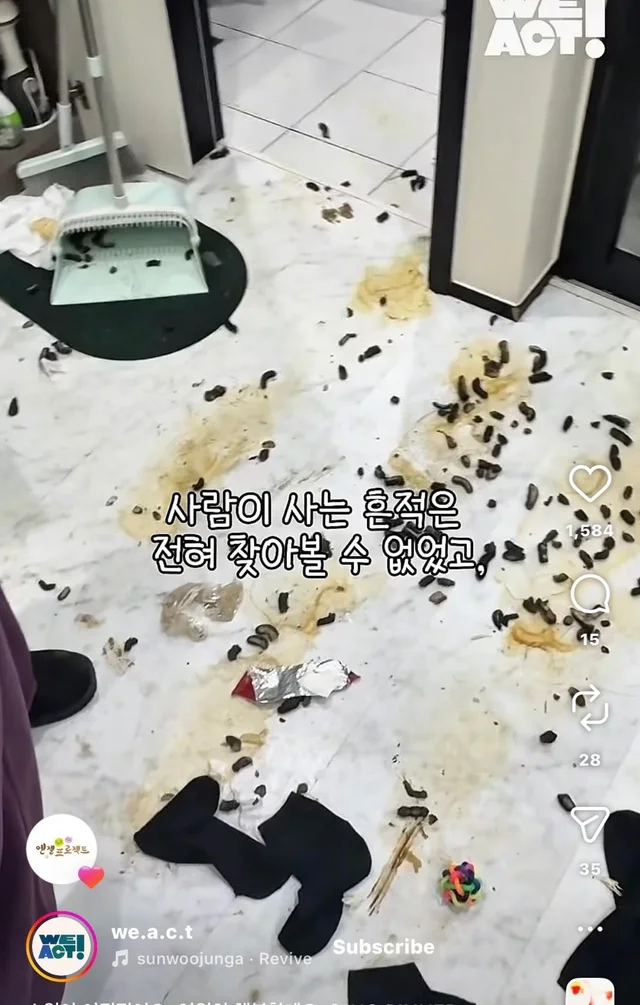 소원이 이뤄졌어요 영원히 행복할게요 현장 사진