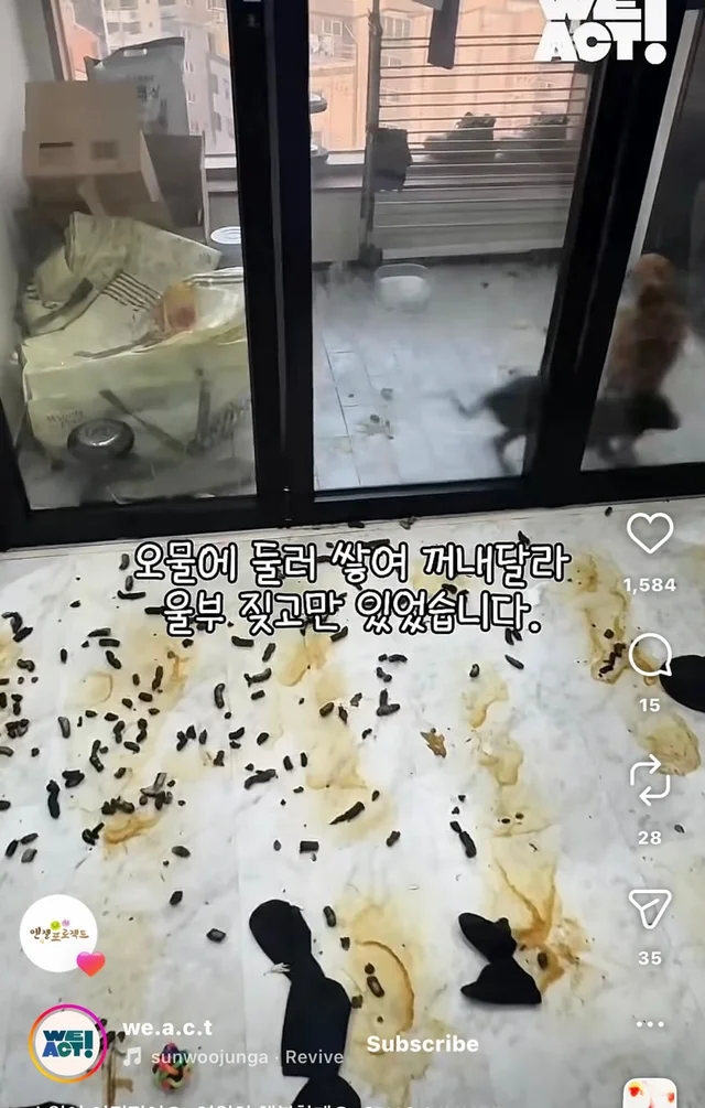 소원이 이뤄졌어요 영원히 행복할게요 현장 사진