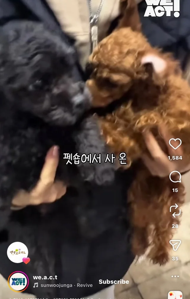 소원이 이뤄졌어요 영원히 행복할게요 현장 사진