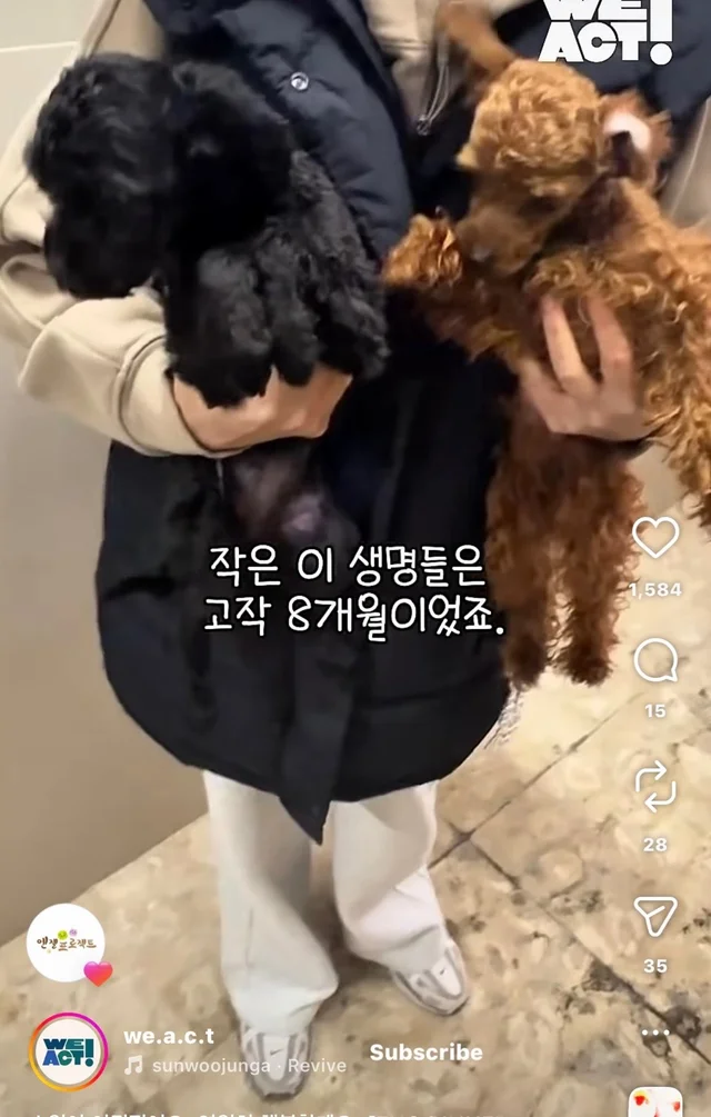 소원이 이뤄졌어요 영원히 행복할게요 현장 사진