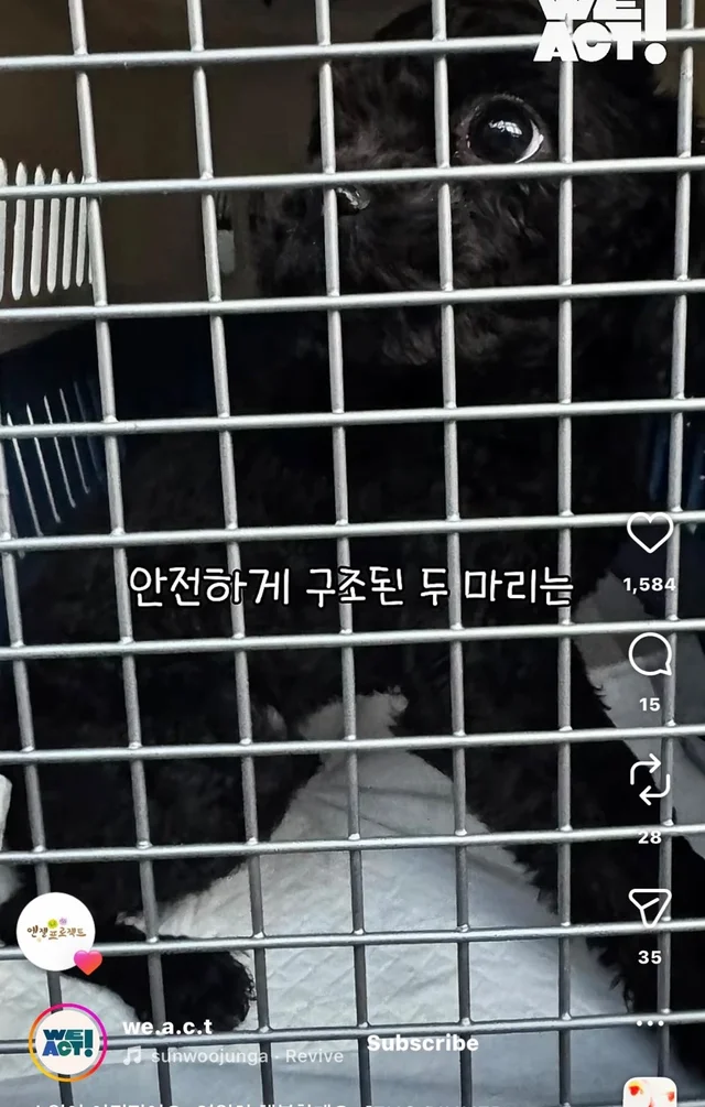 소원이 이뤄졌어요 영원히 행복할게요 현장 사진