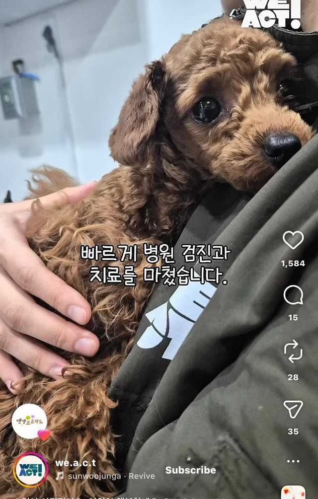 소원이 이뤄졌어요 영원히 행복할게요 현장 사진