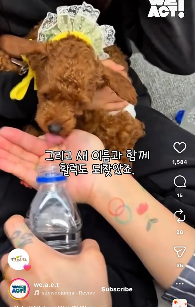 소원이 이뤄졌어요 영원히 행복할게요 현장 사진