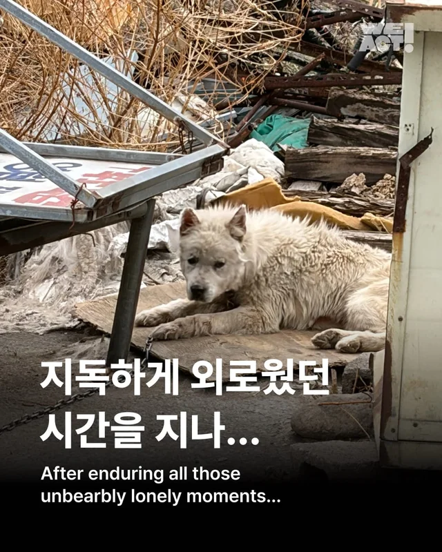 지독하게 외로웠던 시간을 지나 현장 사진