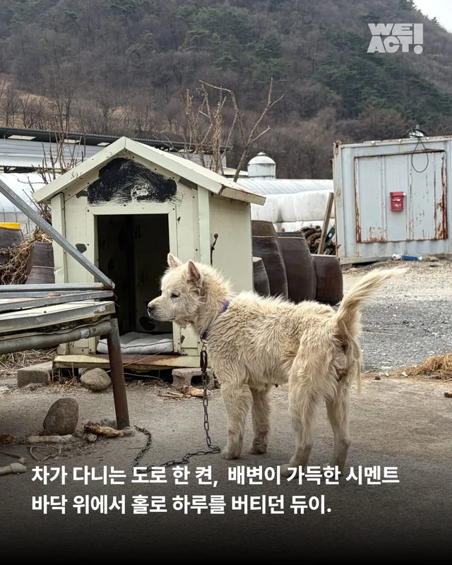 지독하게 외로웠던 시간을 지나 현장 사진