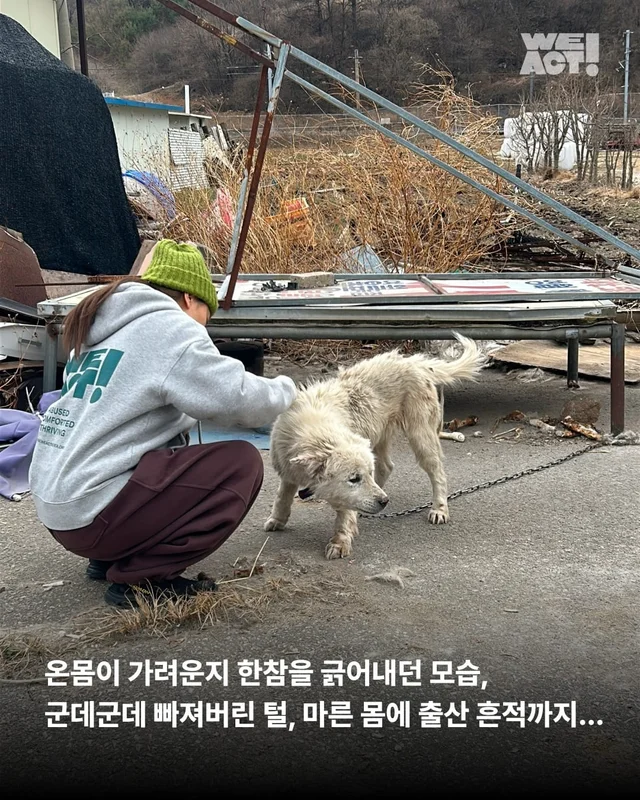지독하게 외로웠던 시간을 지나 현장 사진