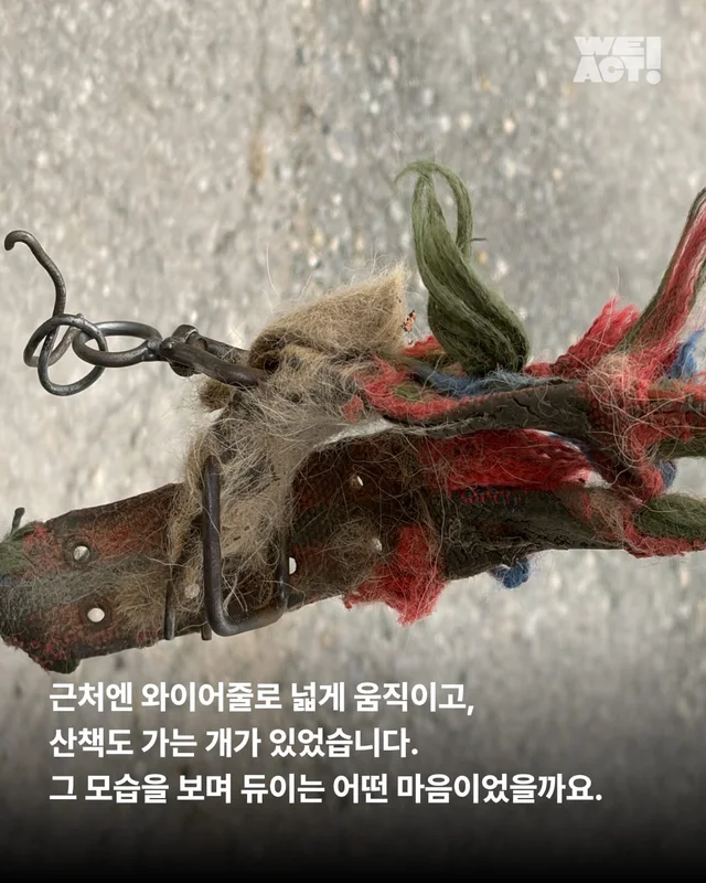 지독하게 외로웠던 시간을 지나 현장 사진