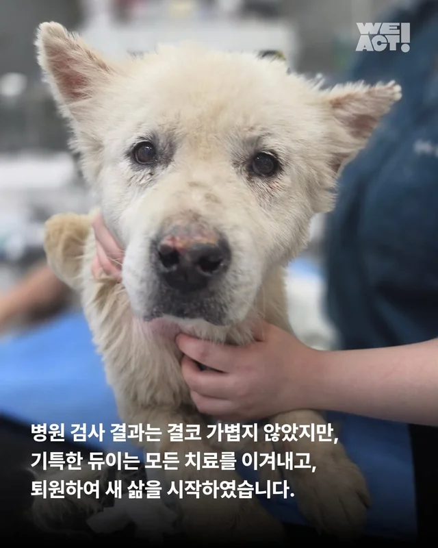 지독하게 외로웠던 시간을 지나 현장 사진