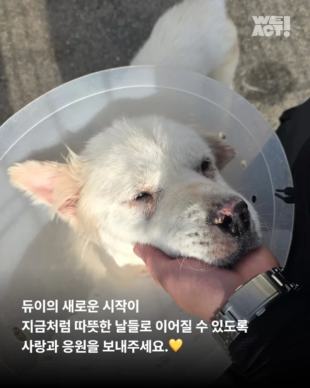 지독하게 외로웠던 시간을 지나 현장 사진
