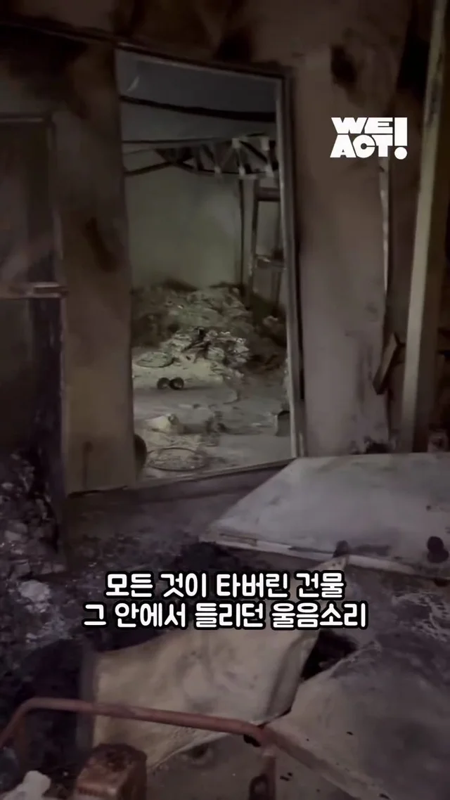 잿더미 속 아기 고양이, 이젠 귀여운 막내딸! 현장 사진