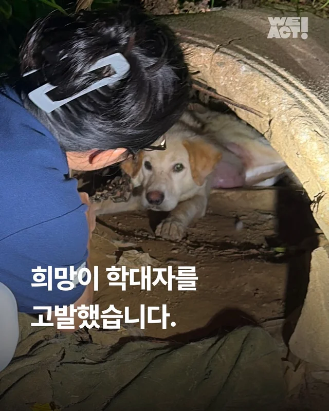 희망이 학대자를 고발했습니다 현장 사진
